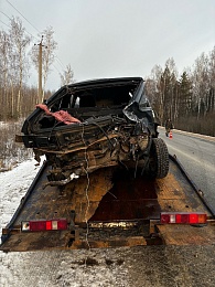 Лось попал под колёса легковушки под Касимовом