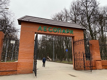 Половодье затопило Лесопарк в Рязани