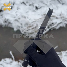 Люди в мантиях проводили таинственные ритуалы в рязанском лесу