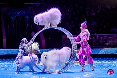 В Рязанском цирке представят шоу Гии Эрадзе «Песчаная Сказка» 