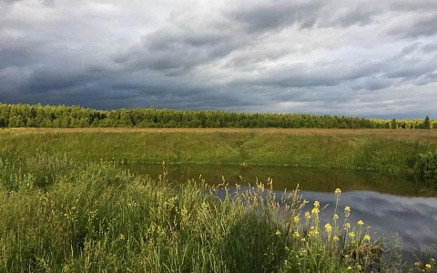 В Рязанской области ожидается дождь с грозой