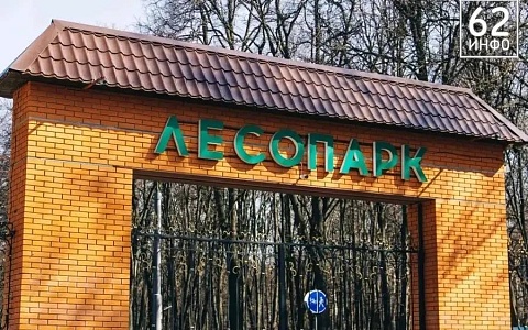 Центр уличного спорта «Под мостом» в Лесопарке открыт после разлива