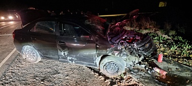 Двое взрослых и двое детей пострадали в ДТП в Старожиловском районе 