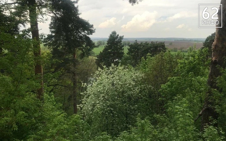 Чрезвычайная пожароопасность объявлена в Клепиковском районе с 4 июля - 62ИНФО