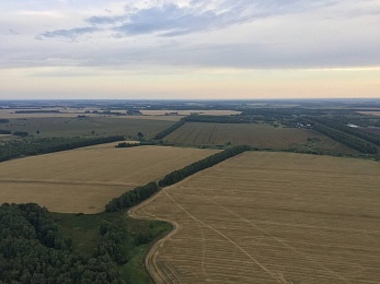 Фоторепортаж: пилоты «Неба России» пролетели на воздушных шарах над Рязанской областью - 62ИНФО Фоторепортаж: пилоты «Неба России» пролетели на воздушных шарах над Рязанской областью