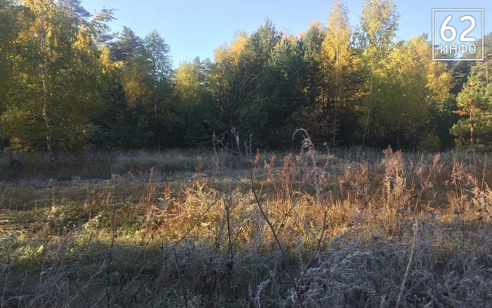 По Рязанской области прошлись первые заморозки - 62ИНФО