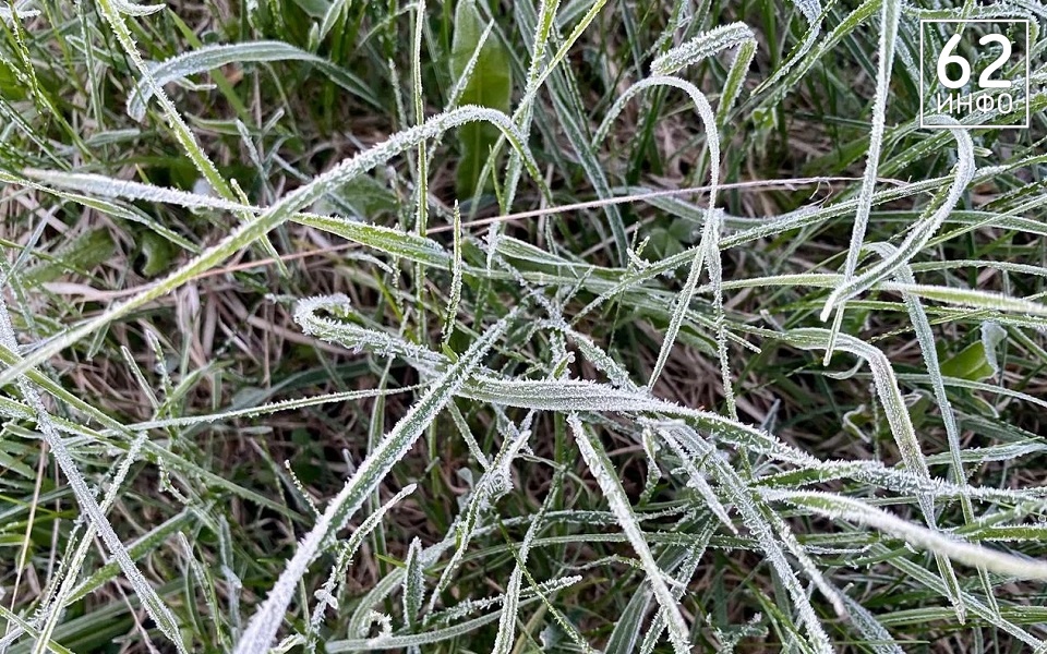 Ночью в Рязанской области ударили сильные заморозки - 62ИНФО