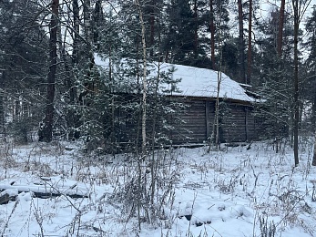 В рязанском лесу сфотографировали заброшки и лестницу в никуда - 62ИНФО В рязанском лесу сфотографировали заброшки и лестницу в никуда