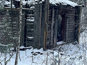 В рязанском лесу сфотографировали заброшки и лестницу в никуда - 62ИНФО В рязанском лесу сфотографировали заброшки и лестницу в никуда