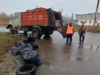 В Рязани собрали 10 тонн листвы на месячнике по уборке города