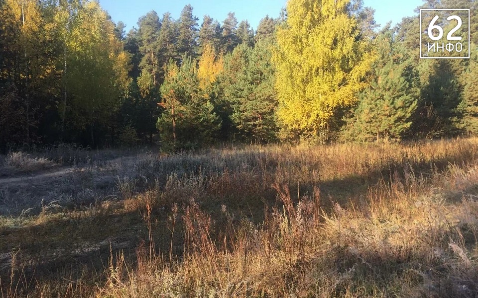 В Рязанской области в ночь на 19 октября похолодает до -2°С - 62ИНФО