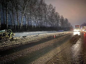 В ДТП с грузовиком в Путятинском районе пострадал мужчина