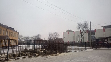 Жители Канищева обеспокоились вырубкой деревьев в микрорайоне