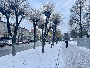 Рязанцы делятся фото первого снегопада в городе и в лесу
