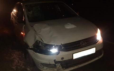 Тульский автомобилист насмерть сбил девушку в Захаровском районе 