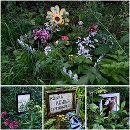 Кладбища домашних животных: где в Рязани хоронят кошек и собак