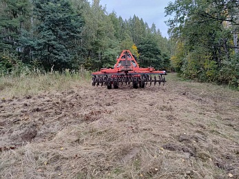 Саженцы для озеленения Рязани будут растить в Турлатове