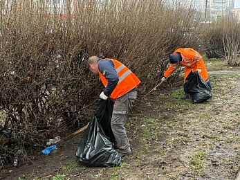 В ближайший месяц в Рязани организуют «творческие субботники»