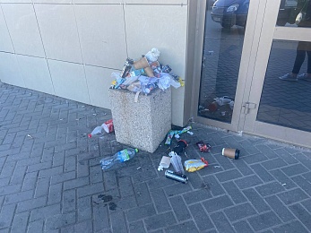 Рязанцы пожаловались на невывоз мусора на Солотчинском шоссе 