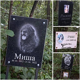 Кладбища домашних животных: где в Рязани хоронят кошек и собак