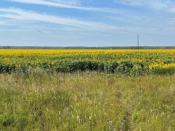 Провожаем лето: красивые фото Рязанской области с настроением отпуска