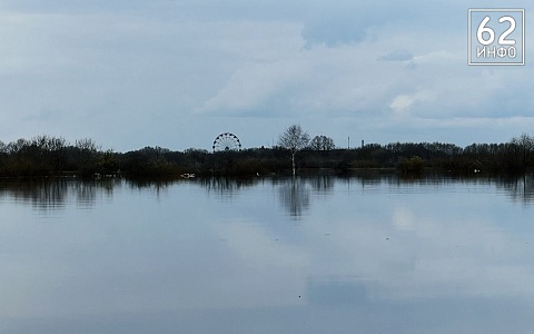 Уровень воды в Оке у Рязани начал снижаться