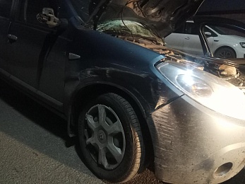 Полиция рассказала подробности ДТП с «Рено» на улице Советской Армии в Рязани - 62ИНФО Полиция рассказала подробности ДТП с «Рено» на улице Советской Армии в Рязани