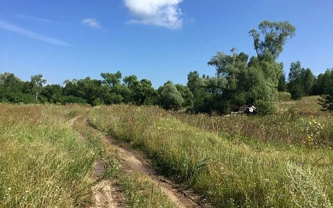 В Рязанской области собственника участка оштрафовали за невыполненное предписание