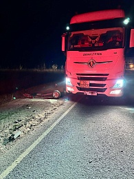 Два человека погибли под Рязанью после аварии с двумя грузовиками