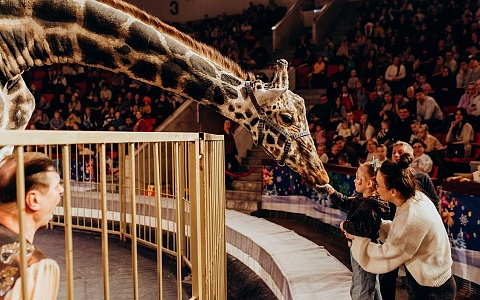 С 12 июня в Рязанском цирке представят программу «ЖИРАФ ШОУ»