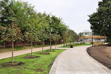 Губернатор Павел Малков осмотрел ход благоустройства Нижнего городского парка