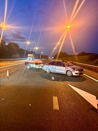 В ДТП с двумя лосями под Рязанью пострадала пассажирка Volkswagen Polo