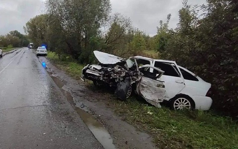 Оба водителя и пассажир пострадали в ДТП с "Лада Приора" и Nissan под Рязанью