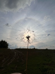 В небе над Рязанью 3 августа показалось солнечное гало