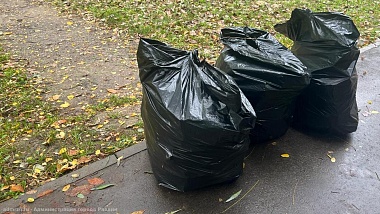 В Рязани стартовал сезон общегородских осенних субботников