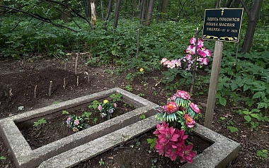 Кладбища домашних животных: где в Рязани хоронят кошек и собак