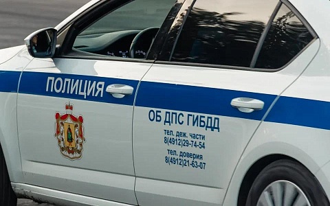 Сотрудники Госавтоинспекции Рязанской области провели беседу со школьниками