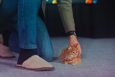 В Рязани открыли Дом молодёжи