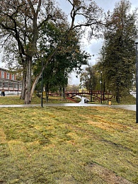 Павел Малков представил рязанцам обновленный Нижний городской парк