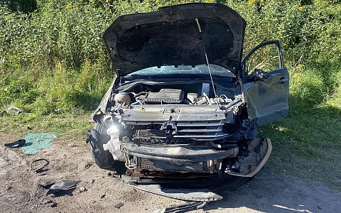 В ДТП в Михайловском округе пострадали два человека