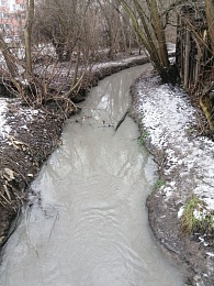 Ручей Быстрец стал серым