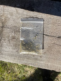 Крупную партию марихуаны обнаружили в гараже жителя Ряжска - 62ИНФО Крупную партию марихуаны обнаружили в гараже жителя Ряжска