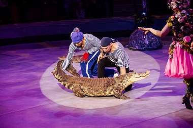 Первые зрители оценили "Новогоднюю тайну пирата" в Рязанском цирке