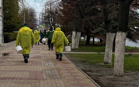 Названы локации Рязани, где в следующую субботу пройдет большая уборка