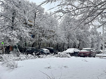Снежное полнолуние марта сфотографировали в рязанской глубинке - 62ИНФО Снежное полнолуние марта сфотографировали в рязанской глубинке
