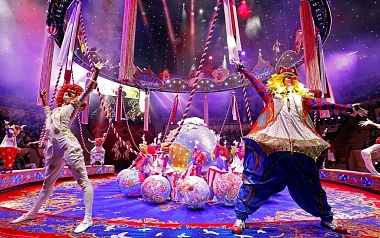 В рязанском цирке пройдут гастроли шоу Гии Эрадзе «5 континентов»