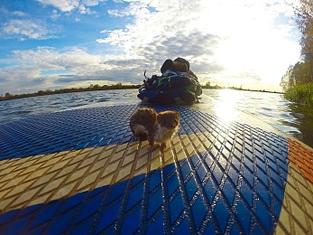 Встань и греби. Первопроходец сапсёрфинга в Рязани — о путешествиях, приключениях и красоте родной природы