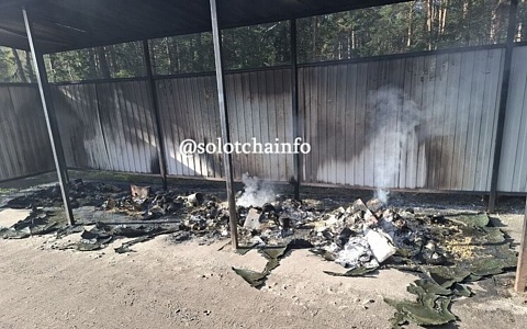 В Солотче сгорели мусорные контейнеры
