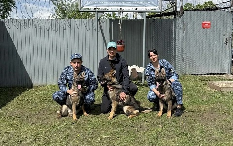 Кинологи УФСИН Рязанской области забрали на службу трёх щенков немецкой овчарки