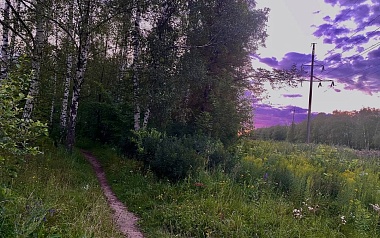 Кладбища домашних животных: где в Рязани хоронят кошек и собак